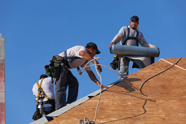 Best Shingle Roofing Installation  in Mcclure, PA